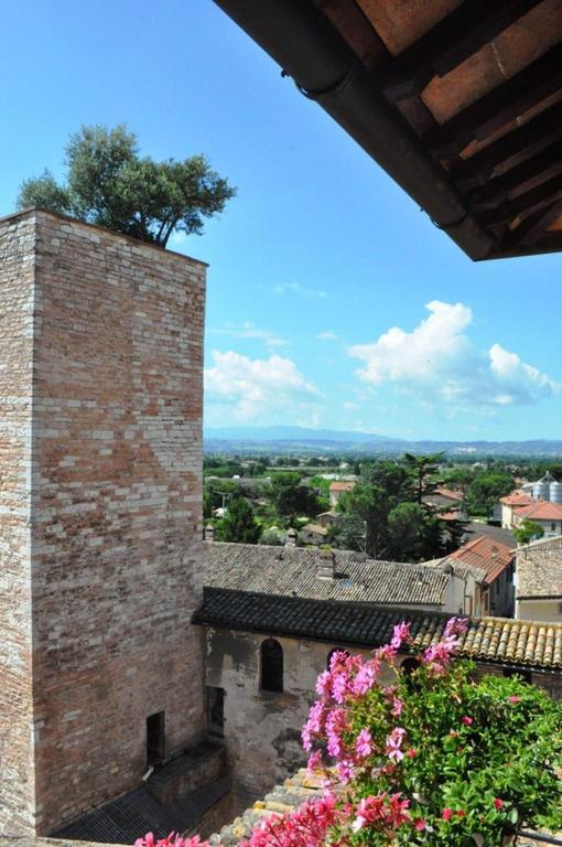 Appartement House Altana *